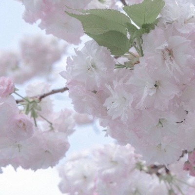 利川FurryQQ群介绍